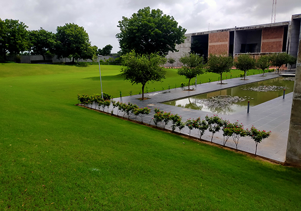 CAMPUS LAWN
