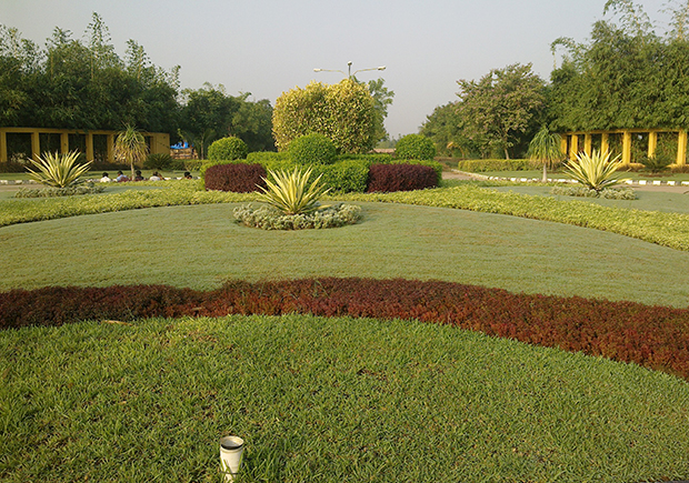 COLOURFUL GROUND