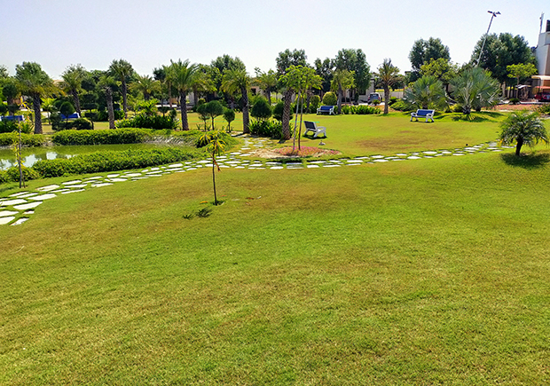 COMMON PLOT