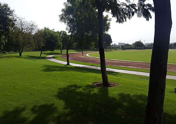 CRICKET GROUND