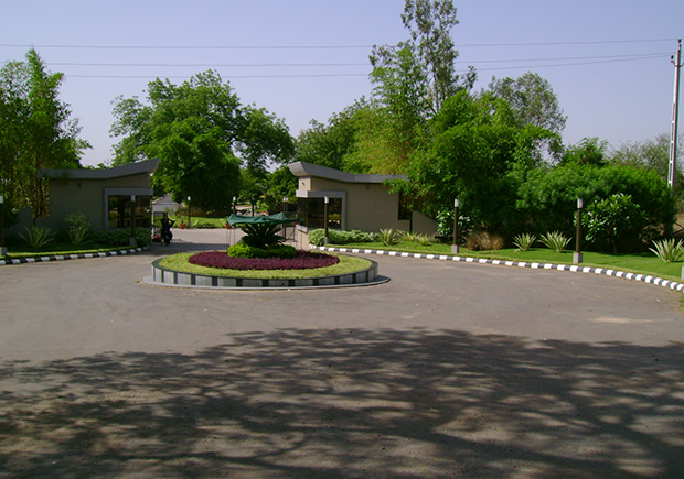 ENTERANCE GARDEN