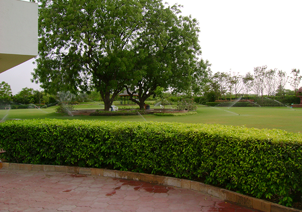 HEDGE