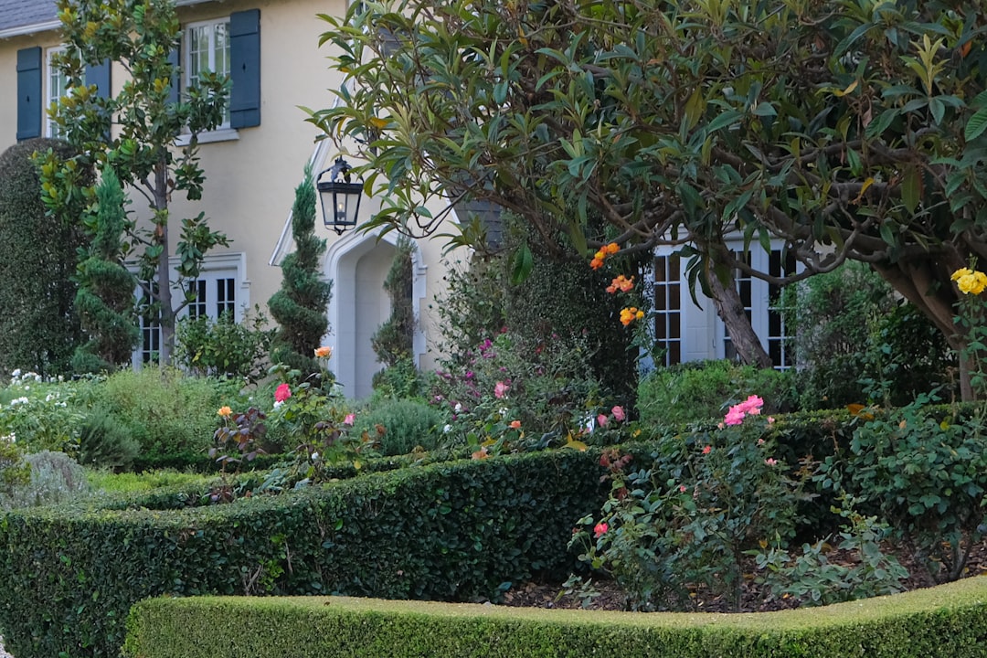 Luxury garden landscape design