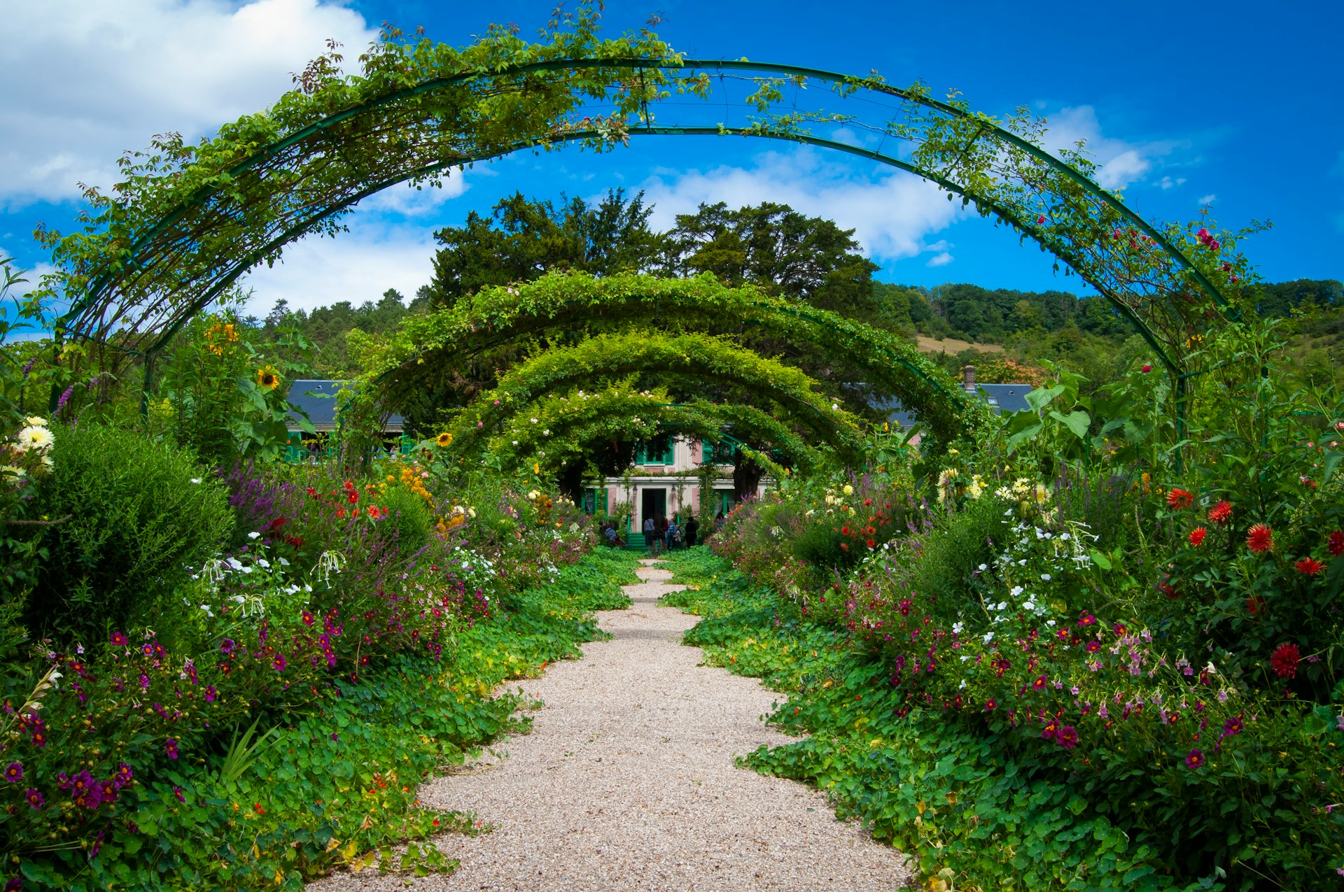 Beautiful botanical garden
