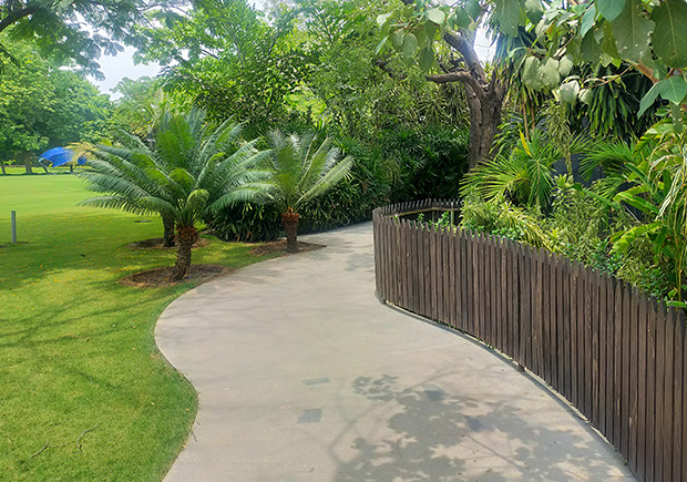 Gardener Caring for Flowers in Plantation