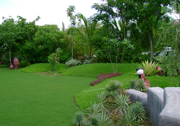 Landscaper Pushing Scarifier Machine Taking Care of the Lawn