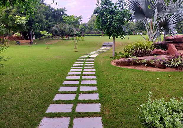Gardener Mowing Backyard Garden Grass Aerial View.